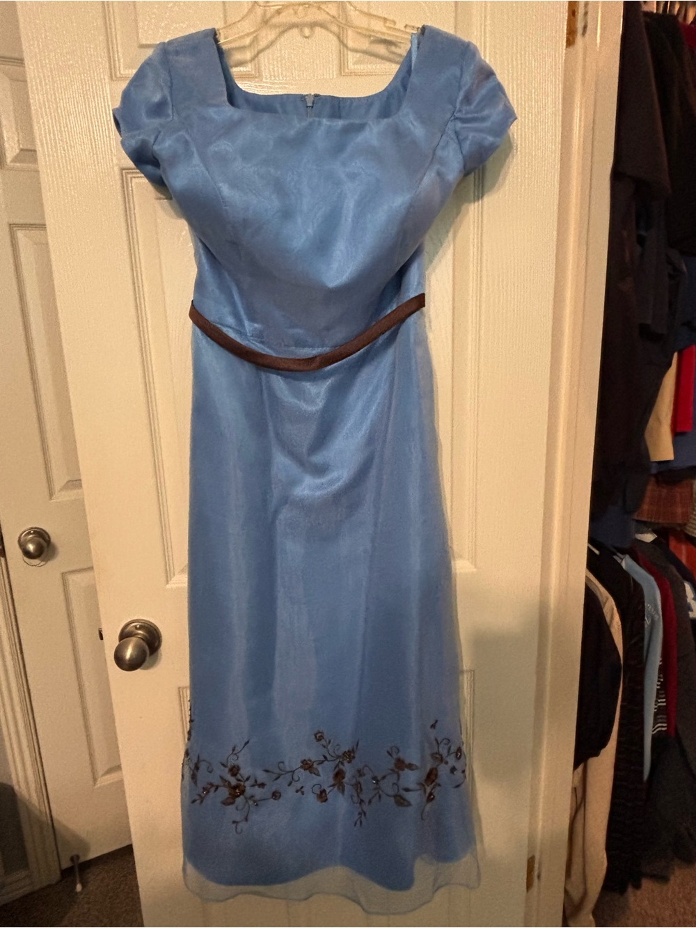 Elegant Light Blue A-Line Dress with Brown Embroidery - Picture 2 of 4